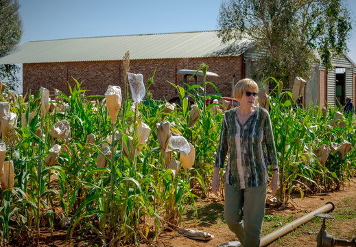 Prof Maryke Labuschagne