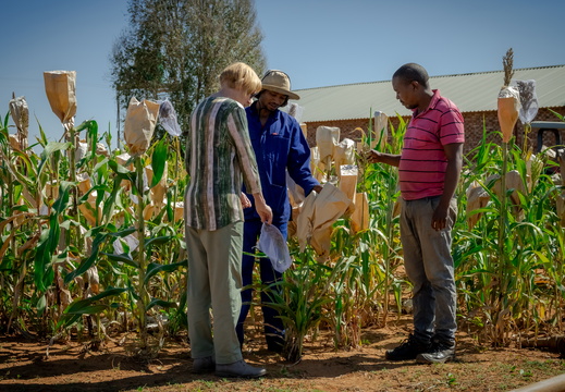 Prof Maryke Labuschagne