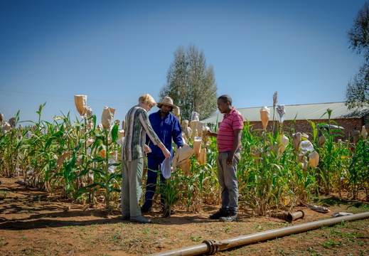 Prof Maryke Labuschagne