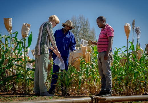 Prof Maryke Labuschagne