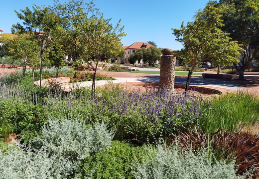 Bloemfontein Campus Images