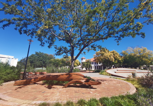 Bloemfontein Campus Images